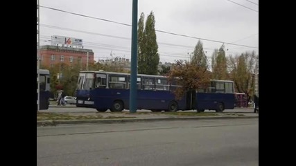 Ikarus Bus 