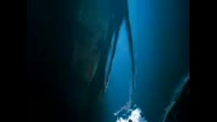 Откъс от филма 10 000 b.c.