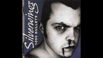 Silverwings - Wehr Dich (hassgesang Cover)