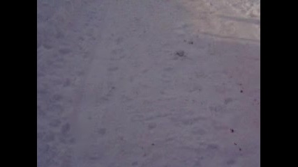 qka zimaaaa