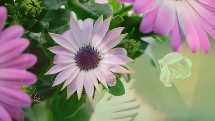 Yiruma - River Flows In You