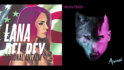 National Animal - Lana Del Rey vs. Neon Trees