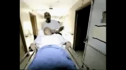 The Psycho Realm-stone garden