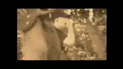 Linkin Park- With you(official video)