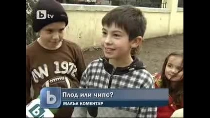 Плод или чипс 