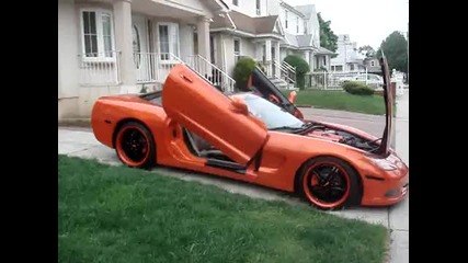 Corvette Lambo Doors. 