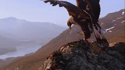 Красотата от природата - [hd]