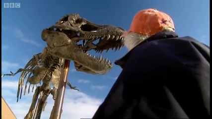 T - Rex in the Rockies - Horizon - Bbc 