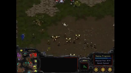 Starcraft Pro gaming 
