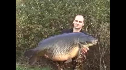 World record common carp (christian Finkelde)