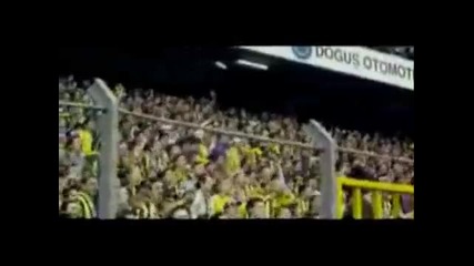 Fenerbahce Fans 