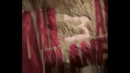 Animal Planet Ident Afghan