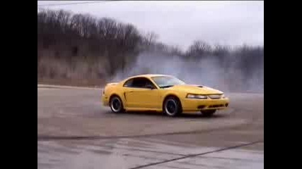 Mustang Burnout - 1