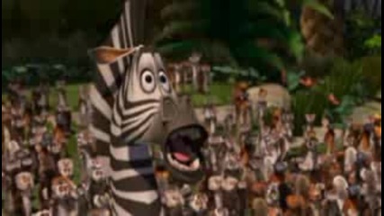 Madagaskar - Alex :d