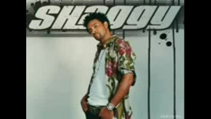 Shaggy - Get My Party On