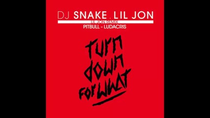 *2014* Dj Snake & Lil Jon ft. Pitbull & Ludacris - Turn down for what ( Remix )