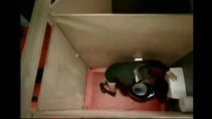 Mr Bean In Toilet 