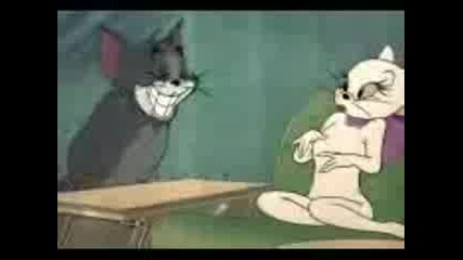 Tom&jerry - Gipsy Cats