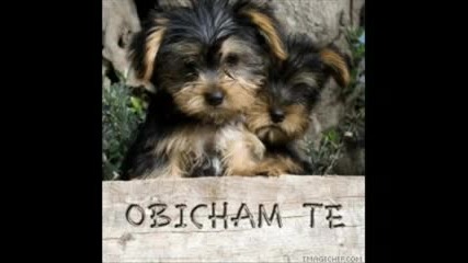 Снимки