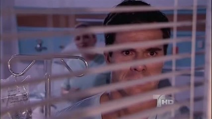 Flor Salvaje Capitulo 43 parte 1
