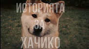 Историята на най-преданото куче : Хачико