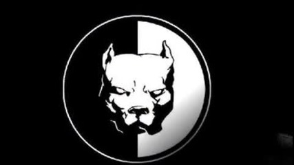 Pitbulls 