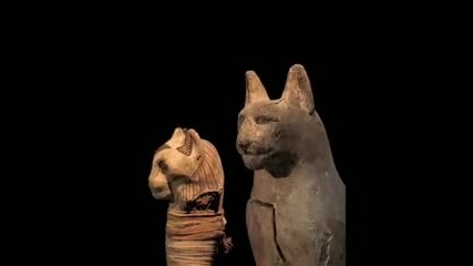 Animal Mummies Pets of the Pharaohs 