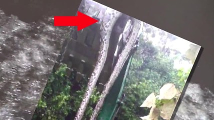 Giant Snake Eats Security Guard