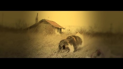 Hoodini - Нова Булка (official Music Video)