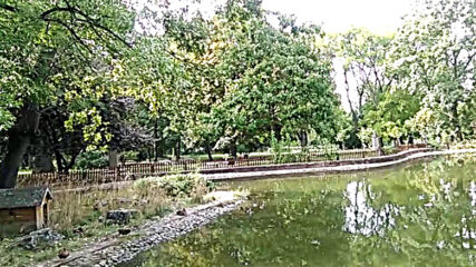 Езерцето с патетата в Борисовата градина