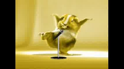 Hamster Dance Video