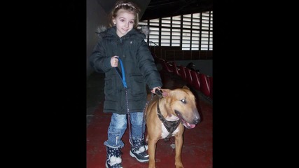 Bulgarian Bullterriers And Children-part2