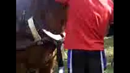 Видео - 0001