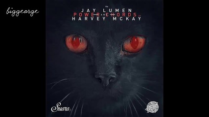 Jay Lumen And Harvey Mckay - Two ( Original Mix ) Snippet