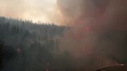 Мощни пожари в щата Вашингтон, евакуираха цял град (ВИДЕО)