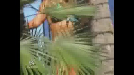 Wwe Divas 2008 Summer Skin Beth Phoeni 2/2