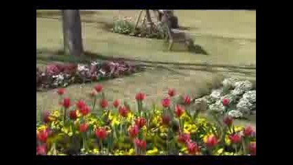 Bobby Vinton - Mr. Lonely 