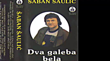 Saban Saulic - Lepotica grada - Audio 1979 Hd