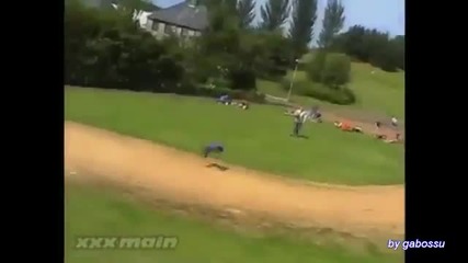 Булдинки-смях :d**