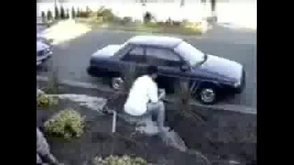 video Mitaka 