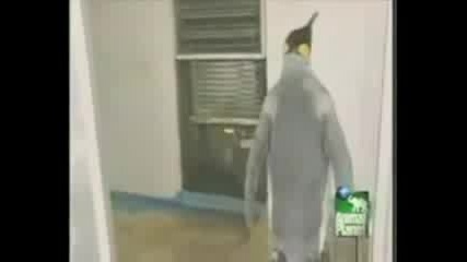 Shopping Penguin