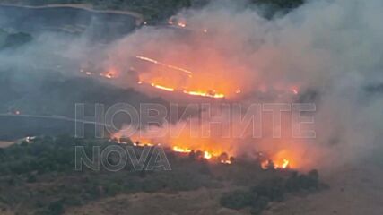 Трети ден огнеборци се борят с пожара в Странджа, близо 2000 дка са изгорели