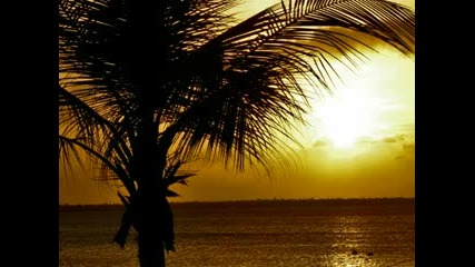 Mr Pit - Shana (original Mix)