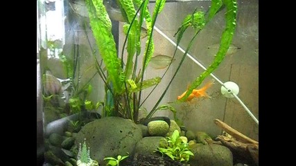 Sam_1842