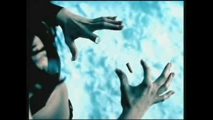 Van Halen - Without You