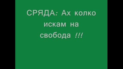 ~~~``` Работната Седмица ```~~~ 