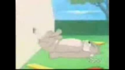 Tom And Jerry Parodia.3gp