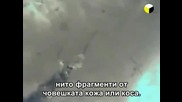 Химическите пръскания причиняват моргелонова болест(моргелоза)