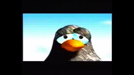 Animation Penguins 