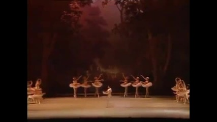The Sleeping Beauty Kirov/marinsky Ballet 18